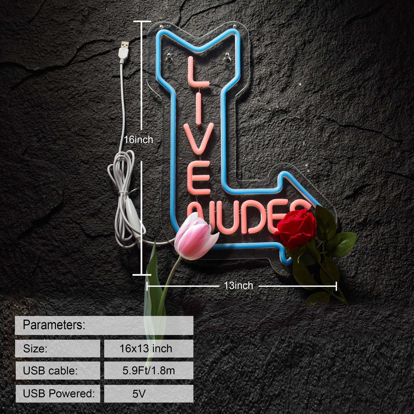 Neon Signs Girls Beer Bar Home Art Neon Light LED Neon Lights Sign with Dimmer for Bedroom Office Hotel Pub Cafe Recreation Room Man Cave Wall Sign Decor(Pink)