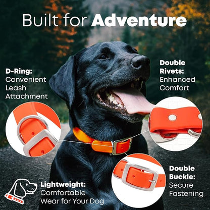 Regal Dog Products Small Orange Dog Collar with Heavy Duty Double Buckle & D Ring | Vinyl Coated, Custom Fit, Adjustable Biothane Dog Collar | Chew Resistant Waterproof Collar for Dogs