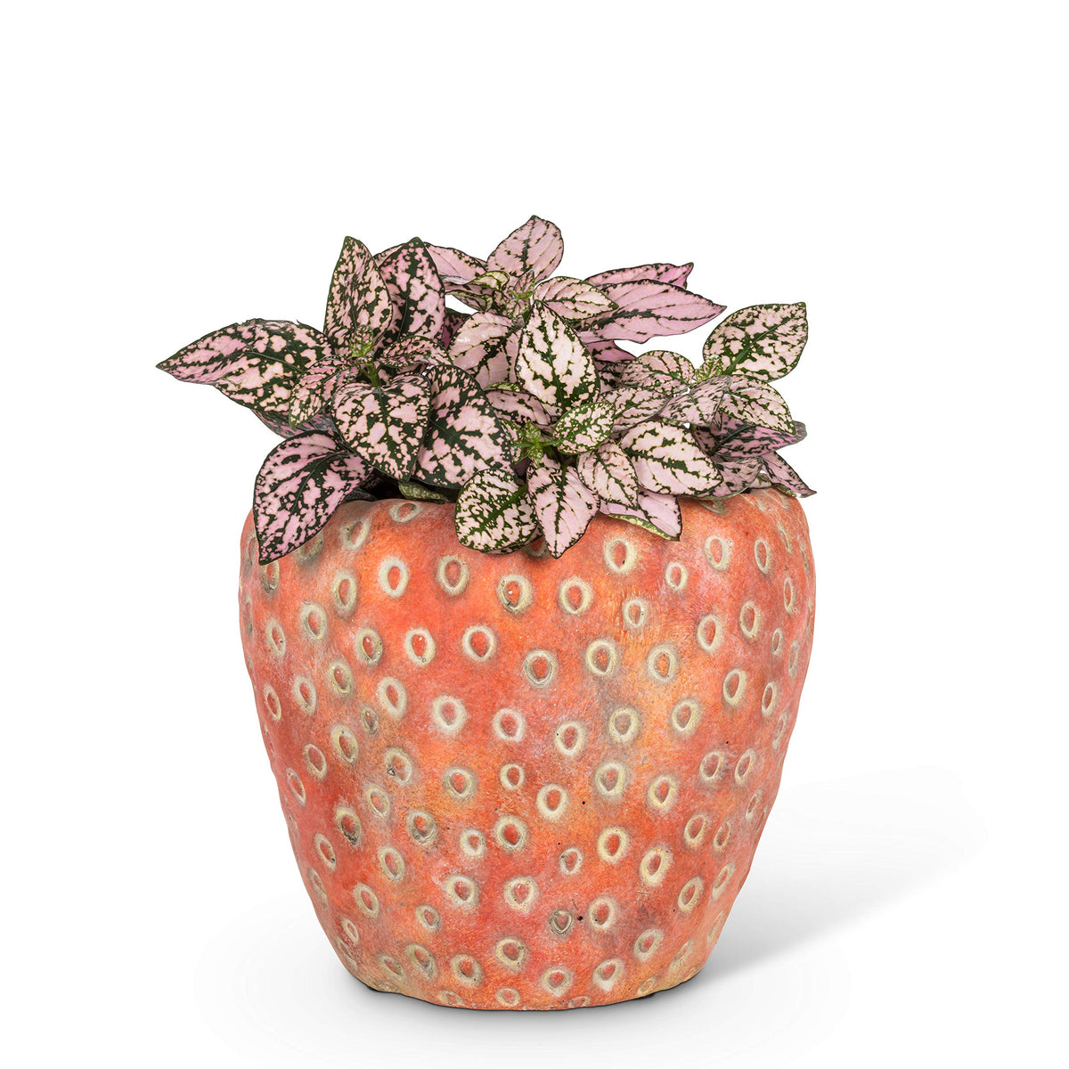 Abbott Collection Small Strawberry Planter - Cement, Pink (5" D)