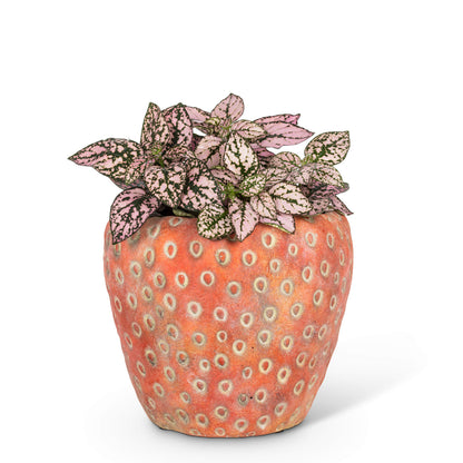 Abbott Collection Small Strawberry Planter - Cement, Pink (5" D)