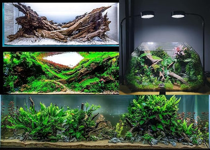 Azil Natural Driftwood 6'' - 8''(3pcs) Perfect Aquarium Decoration! Ideal for Fish Tanks, Freshwater Aquariums, terrariums, aquascaping, hardscaping,Aquatic Plants.