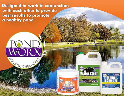 Pondworx Pond Bacteria - Concentrated & Formulated for Water Features - Safe for Koi - 16 Ounces & Treats up to 2,500 gallons of Water
