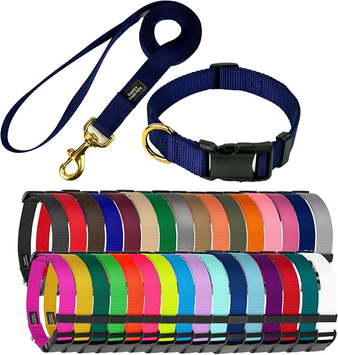 Country Brook Petz - Everyday Nylon Dog Collar and Leash - 10+ Cool Colors (1 Inch, Large, Navy Blue)