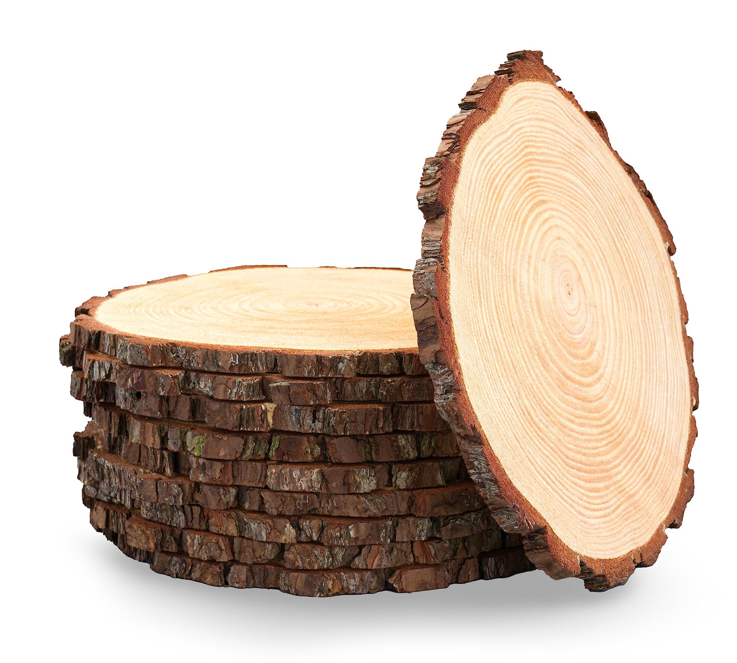 Set of 10 Large Wood Slices (11-13”) – Rustic Wooden Rounds for Wedding Centerpieces, Event Decor, and Table Centerpieces