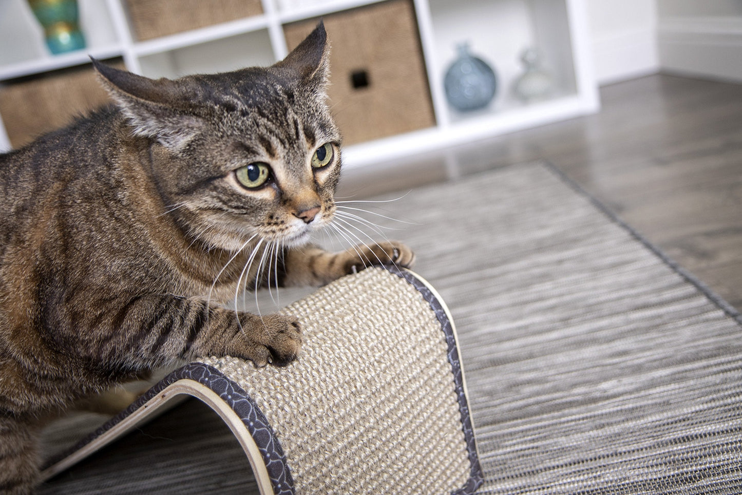 SmartyKat Sisal Angle Ramp Cat Scratcher for Indoor Cats & Kittens, Durable Sisal & Wood Scratching Pad, Includes Catnip, Gray/Taupe
