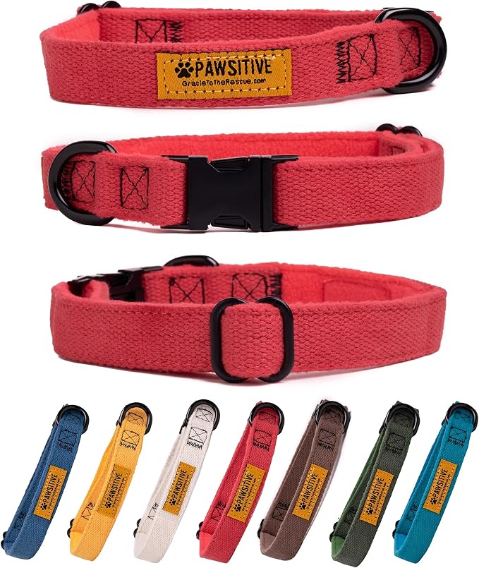 Pawsitive Hemp Dog Collar - Super Soft Hypoallergenic Lining. Great for Small, Medium and Large Dogs; Large Rosemary Red