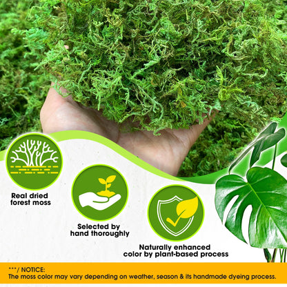 DUSPRO Green Forest Moss for Crafts, Real Dried Decorative Moss for Indoor Planter Soil Cover, Table Centerpieces, Wedding, Easter & Christmas Decor, DIY Projects, 1.25 Lbs