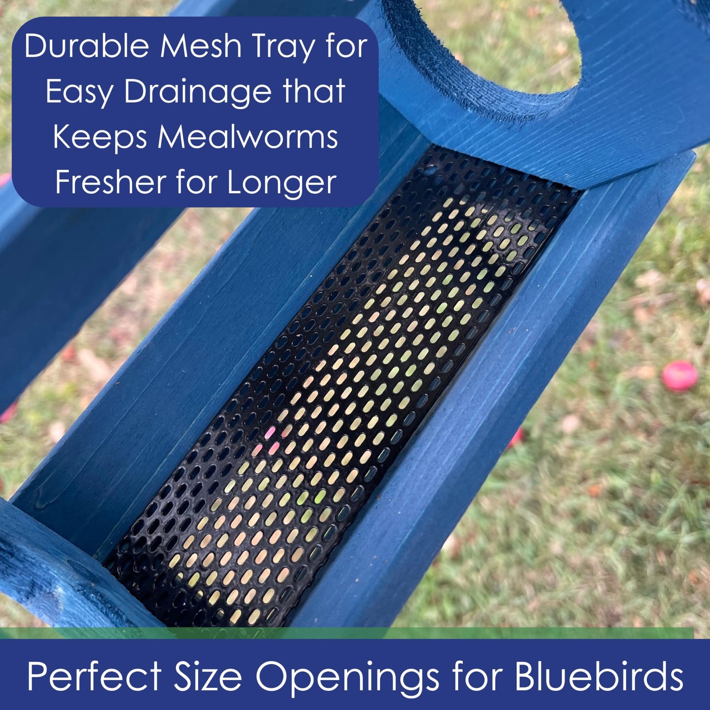 Backyard Essentials Petite Bluebird Feeder with Plexiglass Roof and Powder Coated Steel Mesh Basket Bird Feeder Tray