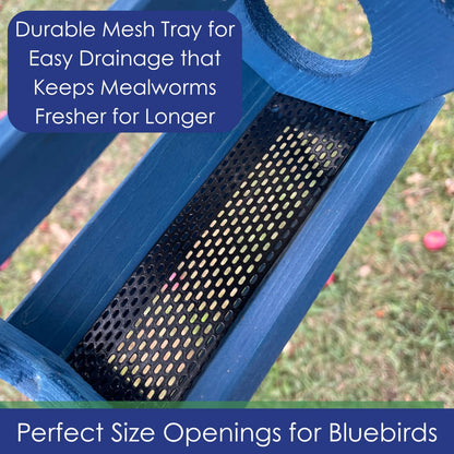 Backyard Essentials Petite Bluebird Feeder with Plexiglass Roof and Powder Coated Steel Mesh Basket Bird Feeder Tray