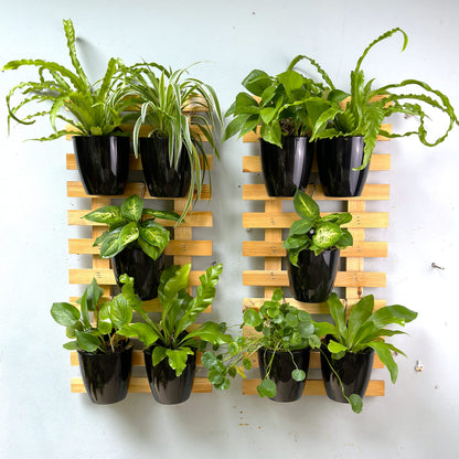 LaLaGreen Wall Planters for Indoor Plants - 10 Pack, 5 Inch Black Self Watering Wall Planter, Eco Wall Mounted Planters System Living Hanging Wall Pots Holder Trendy Live Wall Garden Indoor for Herb