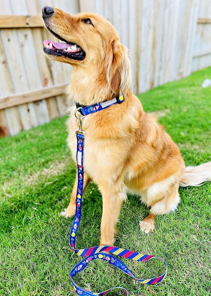 Lucky Love Dog - Easy Click Buckle Dog Collar with Leash Set Combo, Durable & Comfortable for Male & Female Dogs, Pet Collar for Medium Dogs, Secure Fit - Mackey Combo, Medium