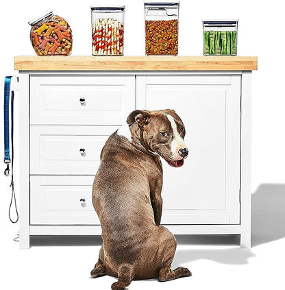 OXO Good Grips Pet POP Container – 2.8 Qt/2.6 L |Ideal
