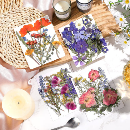 Nuanchu Dried Flower for Crafts Resin Pressed Flowers Bulk Dried Wildflowers Leave Natural with Tweezer for Resin Mold Scrapbooking Nail Soap Candle Making Cake Decorating DIY Christmas Craft Supplies