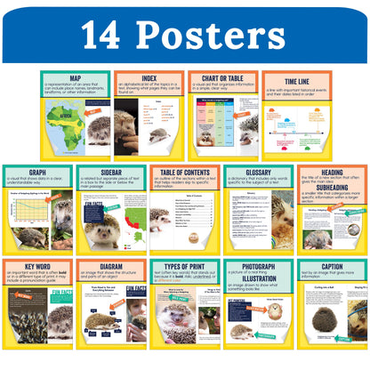 Carson Dellosa 14-Piece Nonfiction Text Posters, 8.5" x 11" Reading Comprehension Wall Decor, Classroom and Office Decorations, English Language Arts Teacher Supplies