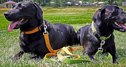 Hemp Corduroy Dog Collar - No Pattern (3/4" Medium, Rust)