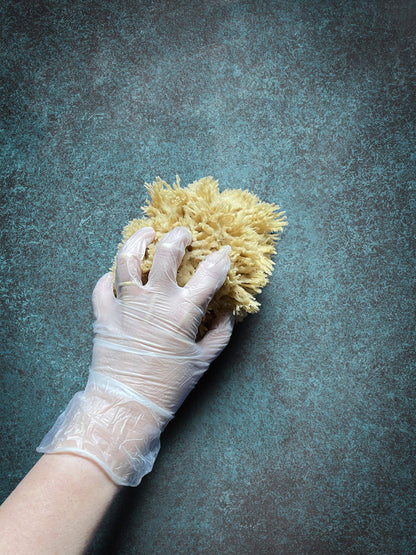 Lullingworth® Natural Sea Wool Art Sponge: Premium Professional Grade 5-6" Unbleached, Excellent for Painting, Decorating, Texturing, Marbling, Limestone/Venetian Plaster, Faux Finishes, Crafts