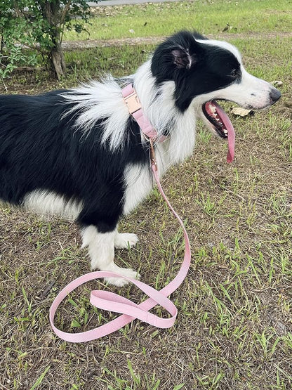 Dog Collar and Leash Set.Soft and Easy to Clean Vegan Leather with Rose Gold Metal Buckle for Small Medium Large Dogs (Pink, S(12.2"-16.9"))